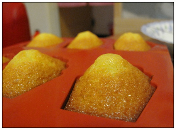 IMG_9624.JPG IMG_9624.JPG