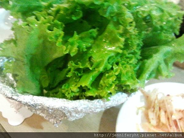 生菜 生菜
