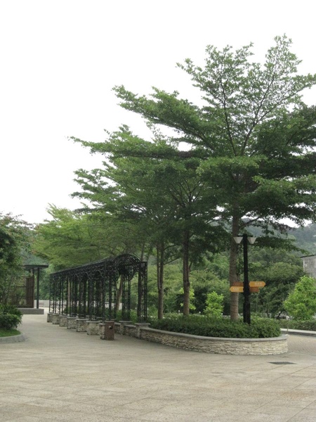 漂亮的造景 漂亮的造景