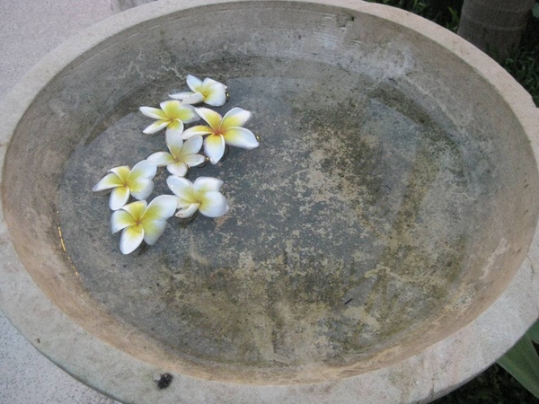 Villa Spa門口的水盆 Villa Spa門口的水盆