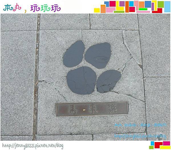 台北哪裡好玩? 遠離都市快腳步 就來木柵動物園!