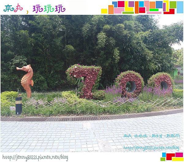 台北哪裡好玩? 遠離都市快腳步 就來木柵動物園!