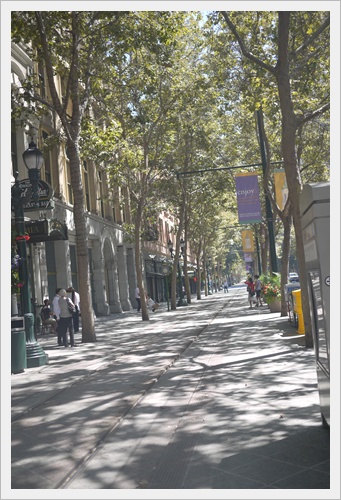 P1130561.JPG P1130561.JPG