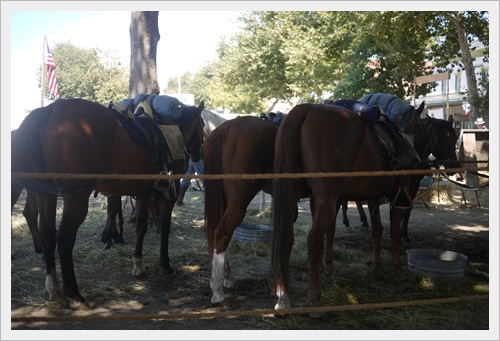 P1130633.JPG P1130633.JPG