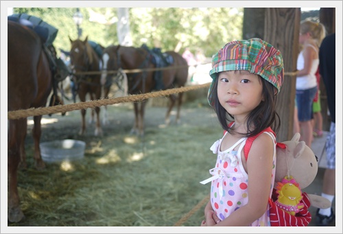 P1130634.JPG P1130634.JPG