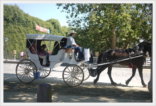 P1130638.JPG P1130638.JPG