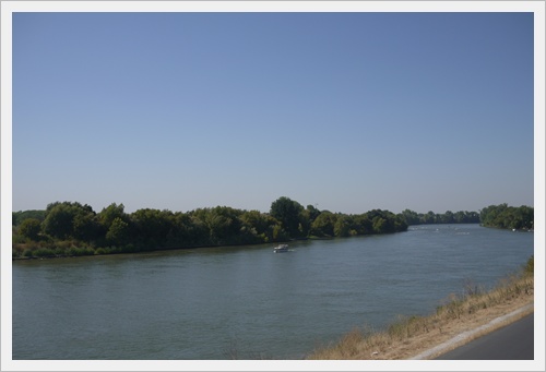 P1130698.JPG P1130698.JPG