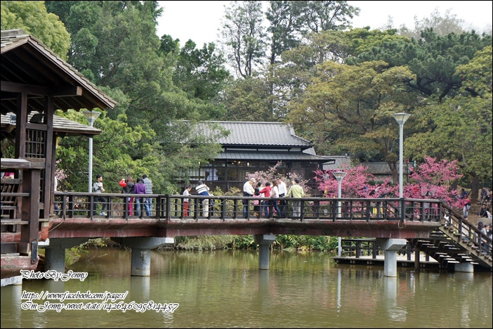 DSC03097.JPG DSC03097.JPG