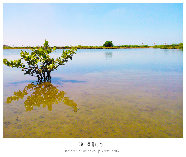 012.沿海散步.jpg 012.沿海散步.jpg