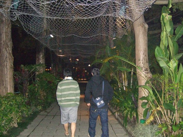 消逝在時光的背影