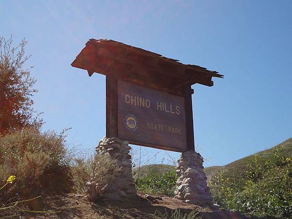 01-1 DSC07586 01-1 DSC07586