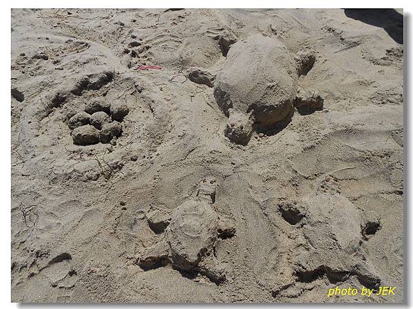 08 DSCN0097.jpg 08 DSCN0097.jpg