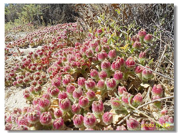 05 DSCN0104.jpg 05 DSCN0104.jpg