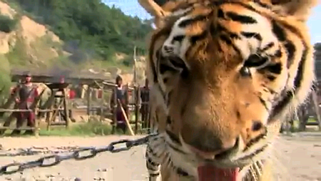 Screenshot_2013-11-20-14-32-57