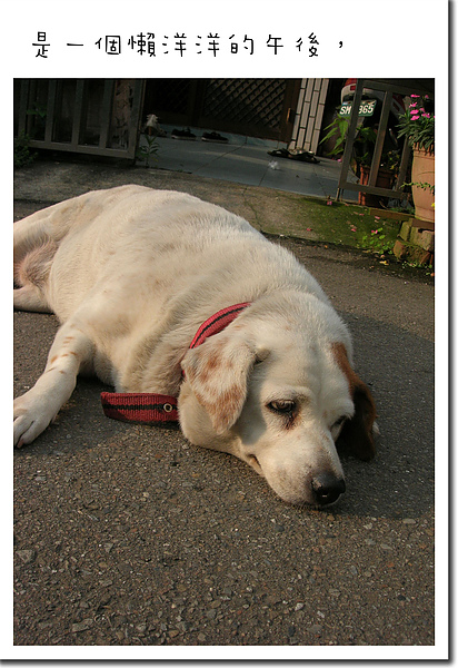 100516.3.新月沙灣