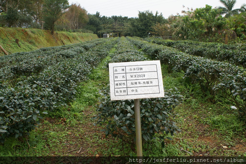 20101229文山農場05