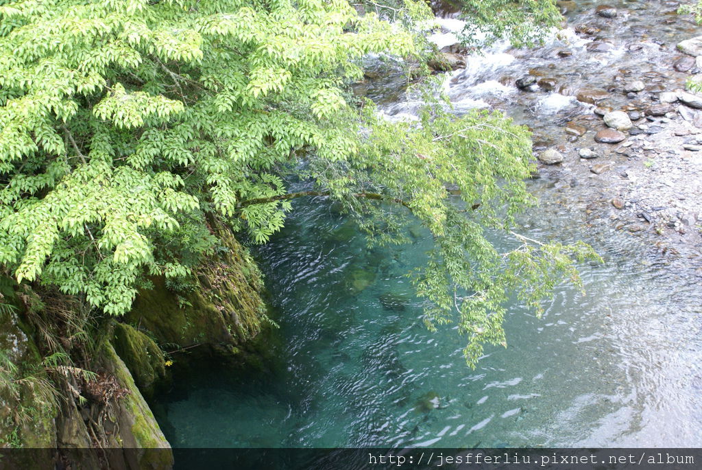 20110626武陵農場遊記180