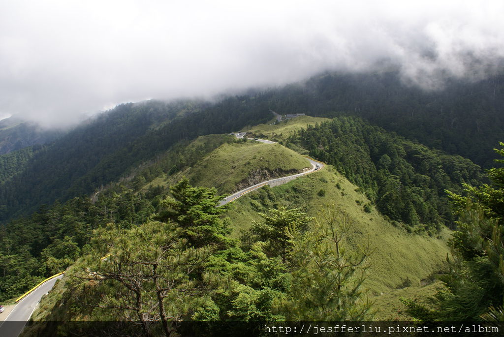 2008坤靈全家夏日遊131-合歡山