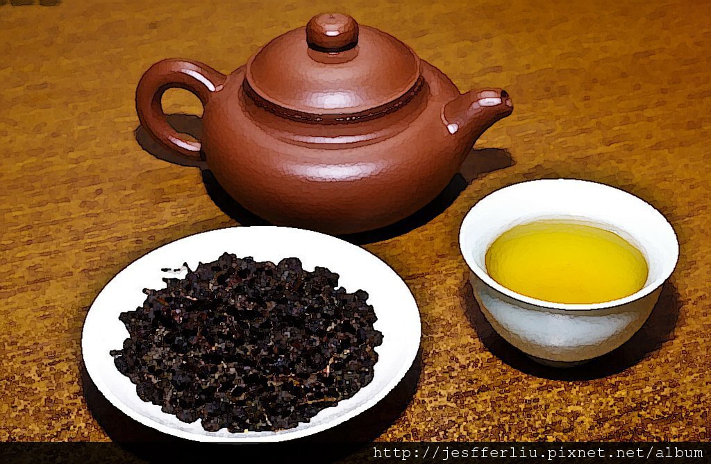 木柵鐵觀音-鐵觀音