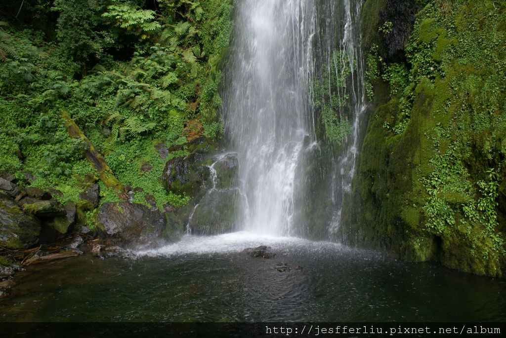 20110626武陵農場遊記159