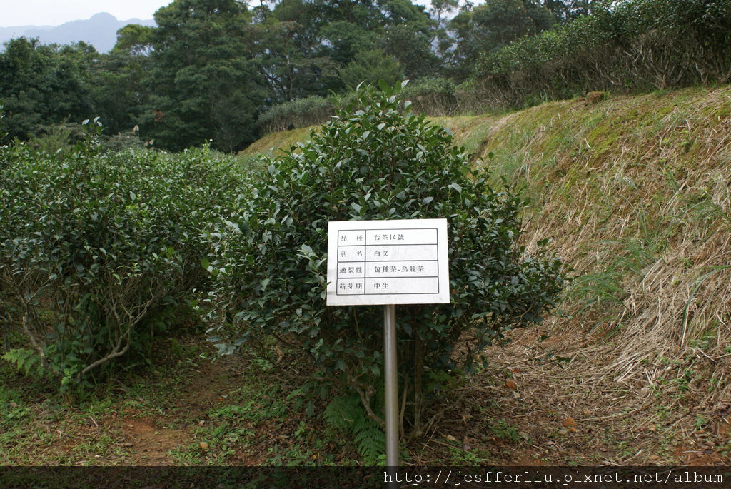 20101229文山農場06