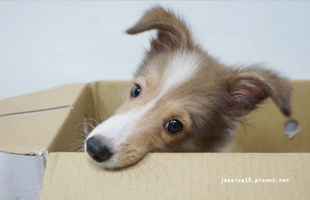 拍攝時間：2013-10-14