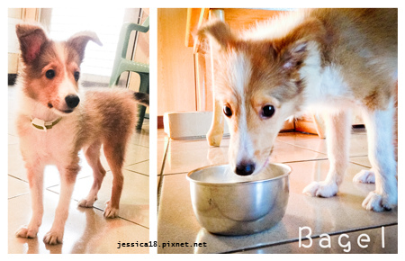 拍攝時間：2013-10-21