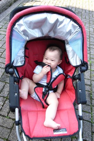 豪邁的坐在推車上 豪邁的坐在推車上