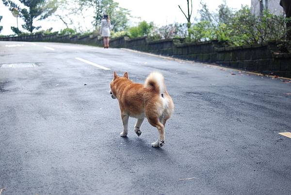 DSC_6290.JPG DSC_6290.JPG
