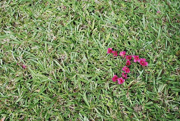 DSC_6303.JPG DSC_6303.JPG