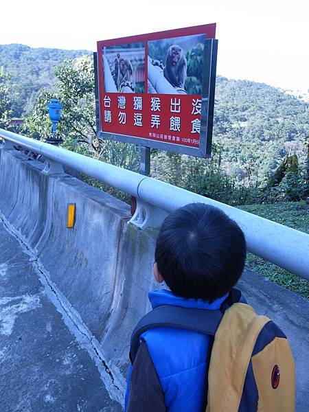 R0033035.jpg R0033035.jpg