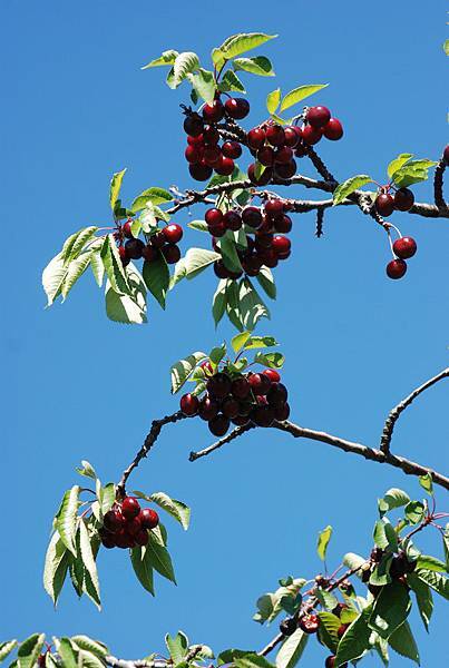 DSC_7665 DSC_7665