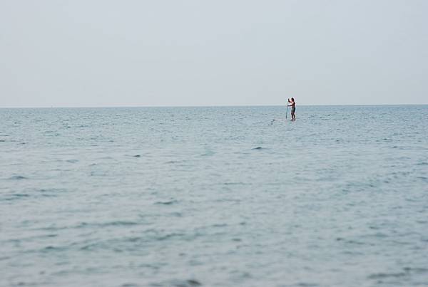 DSC_7869 DSC_7869