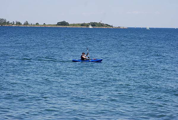 DSC_7988 DSC_7988