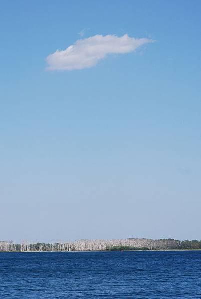 DSC_7983 DSC_7983