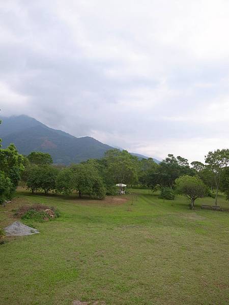 R0036766 R0036766