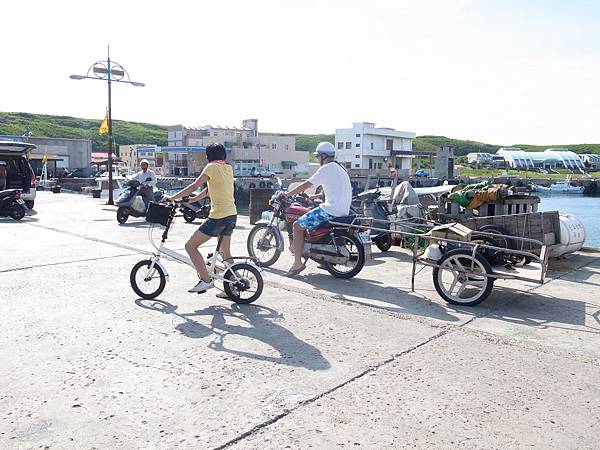 R0042956 R0042956