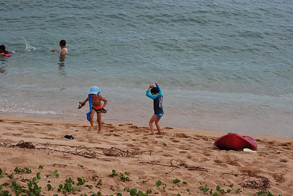 DSC_2948 DSC_2948