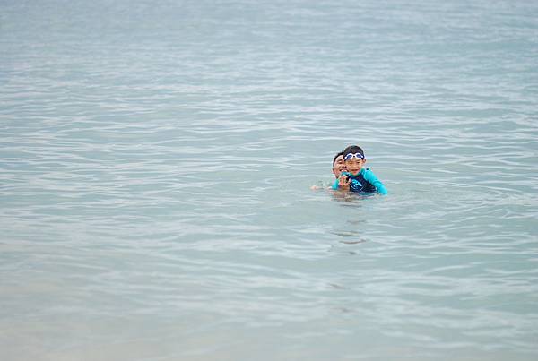DSC_2982 DSC_2982