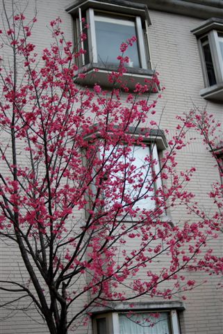 DSC_0010.JPG DSC_0010.JPG