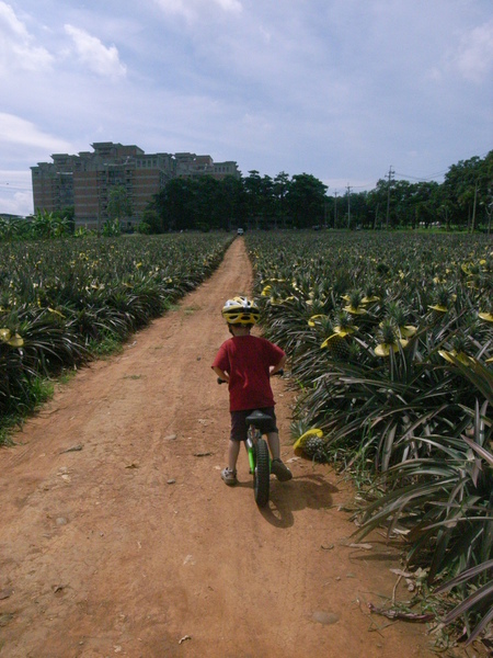 R0036215.JPG R0036215.JPG