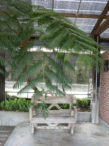 R0037546.JPG R0037546.JPG
