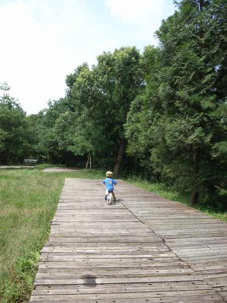 R0037590.JPG R0037590.JPG
