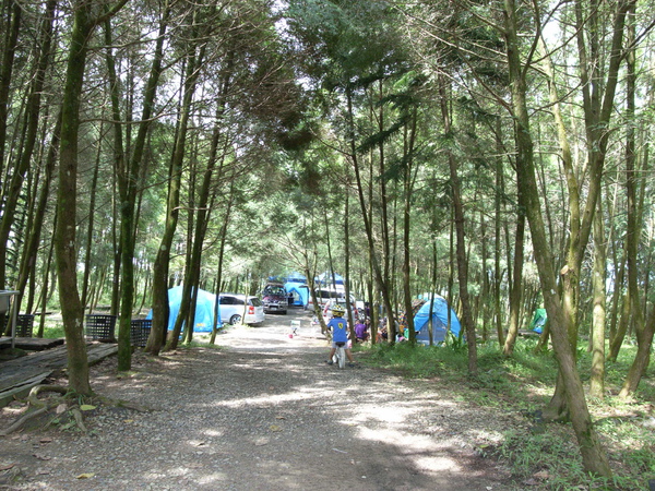 R0037578.JPG R0037578.JPG