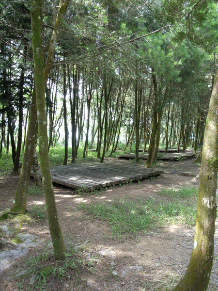 R0037577.JPG R0037577.JPG