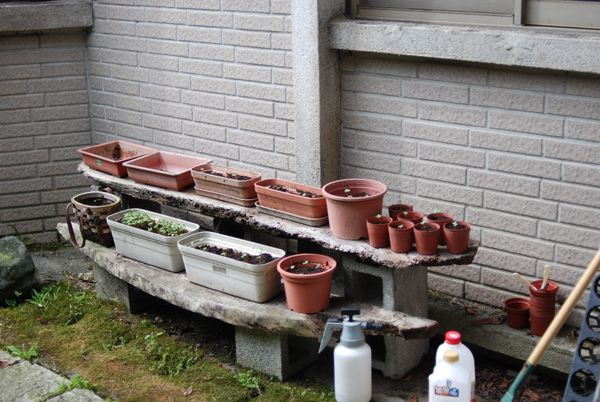 DSC_1761.JPG DSC_1761.JPG