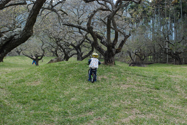 DSC_5462.JPG DSC_5462.JPG