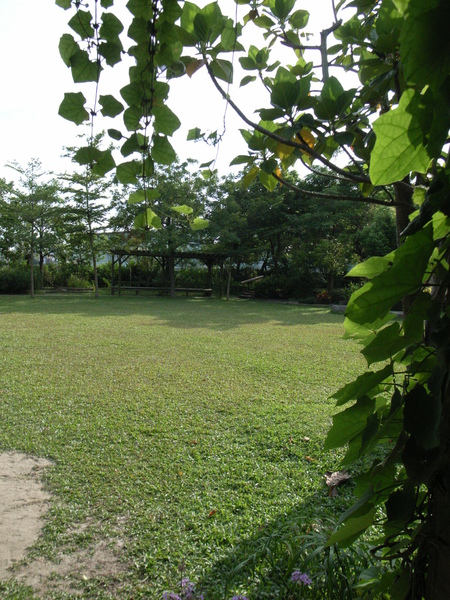 R0037349.JPG R0037349.JPG