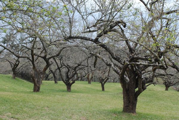 DSC_5486.JPG DSC_5486.JPG