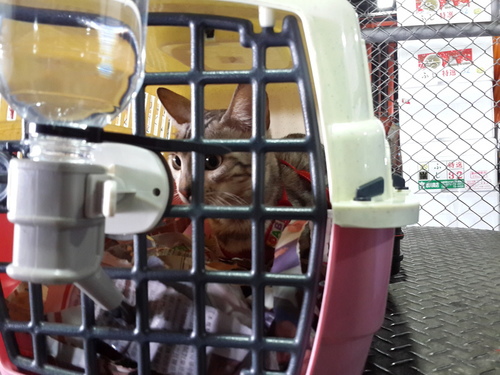 1082772373_m 1082772373_m